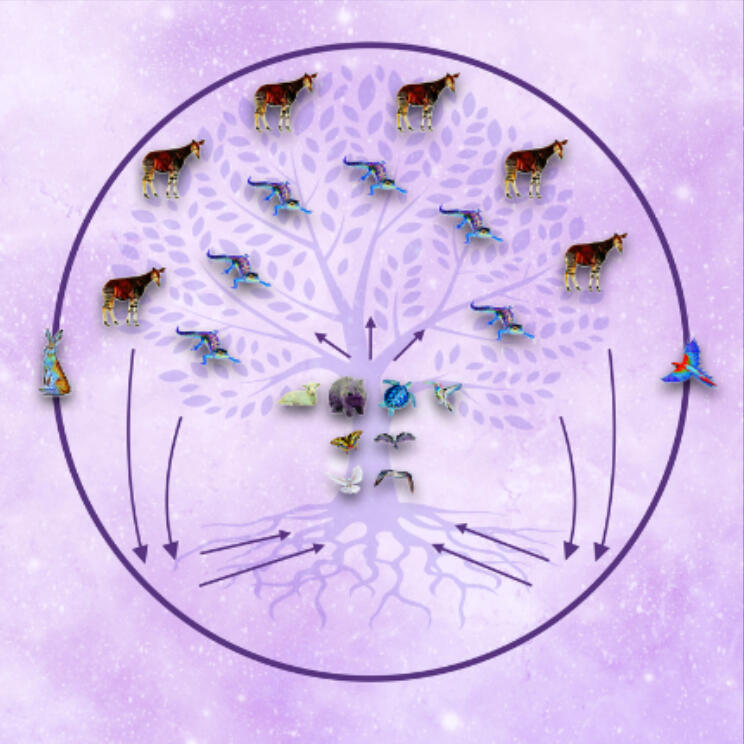 LEMURIAN BEARTH CHARTS